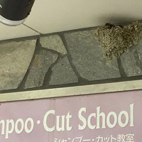 画像400