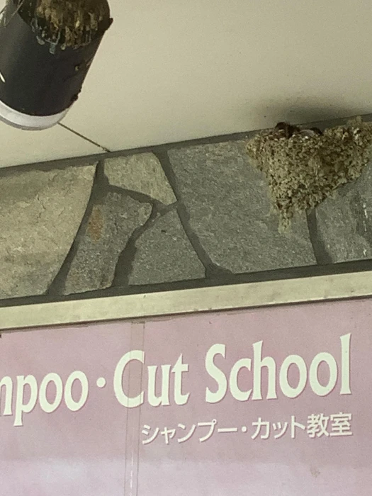 画像400