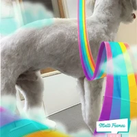 画像407