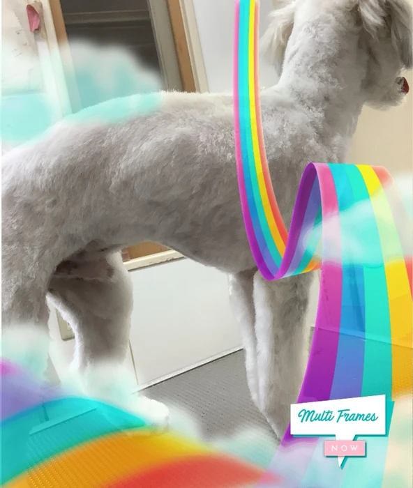 画像407