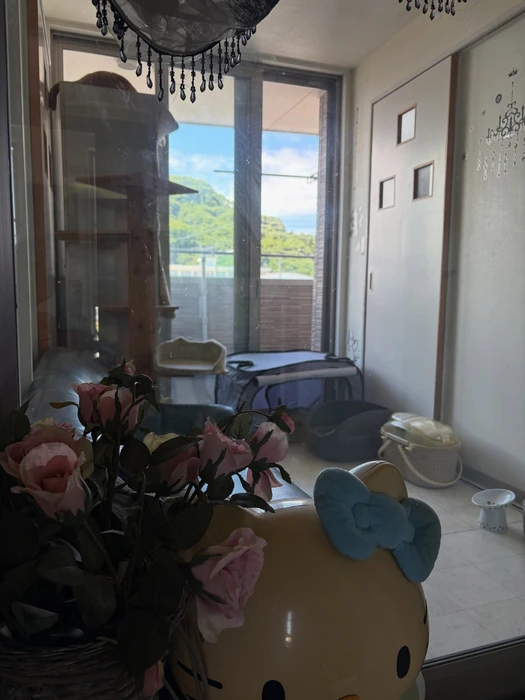画像429