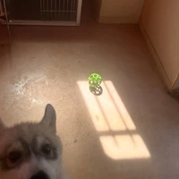 画像442