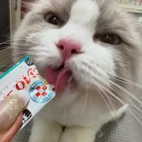画像473