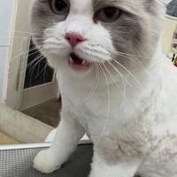 画像476