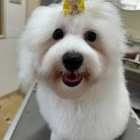 画像484