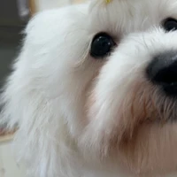 画像485
